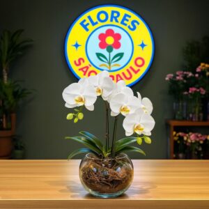 Orquídea no Aquário